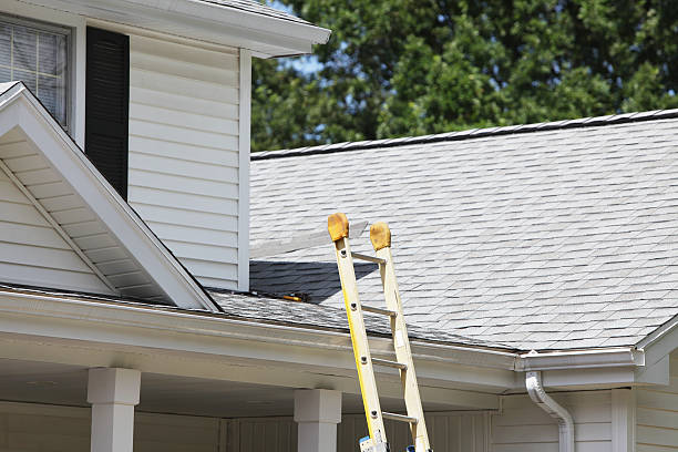 Best Custom Siding Design  in Port Morris, NJ