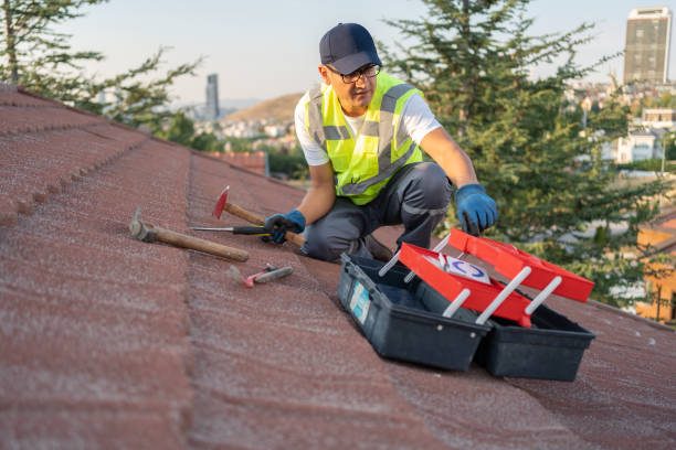 Best Siding Removal and Disposal  in Port Morris, NJ
